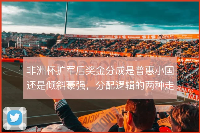 非洲杯扩军后奖金分成是普惠小国还是倾斜豪强,分配逻辑的两种走向