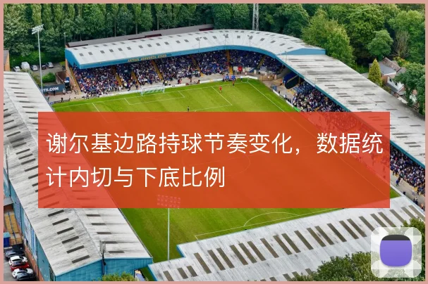 谢尔基边路持球节奏变化,数据统计内切与下底比例