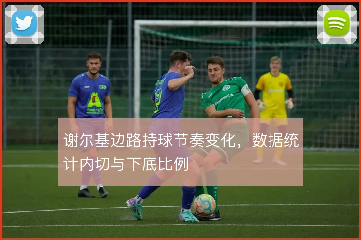 谢尔基边路持球节奏变化，数据统计内切与下底比例