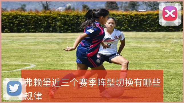 弗赖堡近三个赛季阵型切换有哪些规律