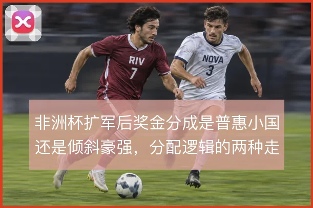 非洲杯扩军后奖金分成是普惠小国还是倾斜豪强，分配逻辑的两种走向